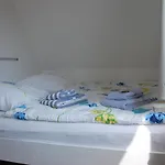 - Schalom
