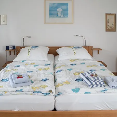 - Schalom 아파트 다메