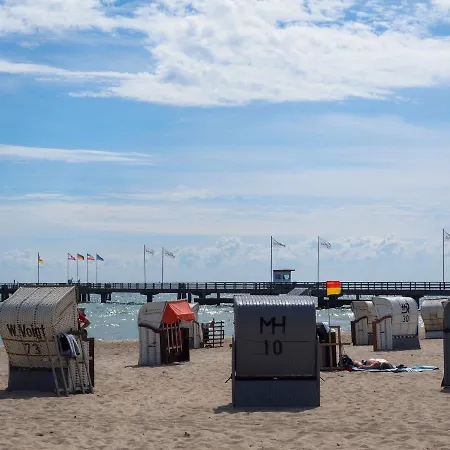 - Schalom 아파트 *