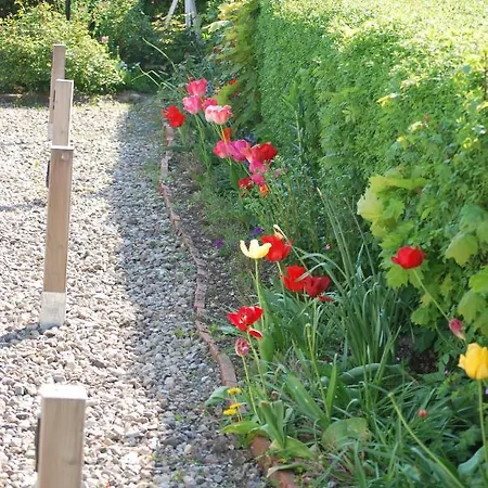 아파트 - Schalom 다메