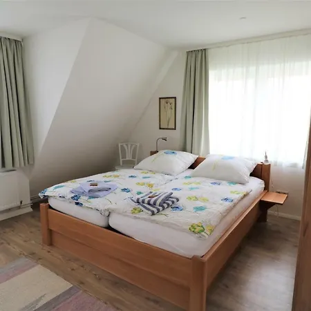 - Schalom 아파트 다메