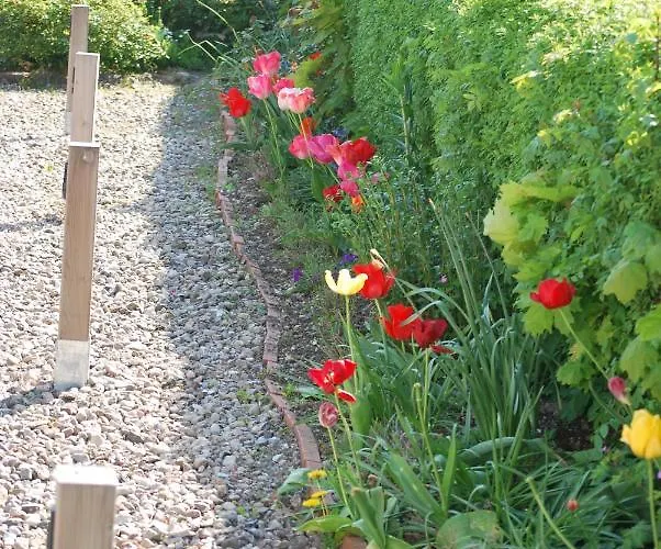 Apartmán - Schalom Dahme (Schleswig-Holstein)